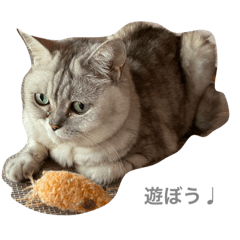 Nyanzu.t
