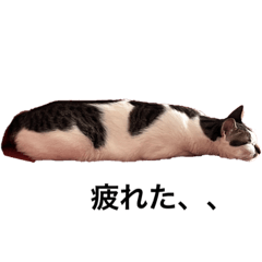 Arisa_20221025195203