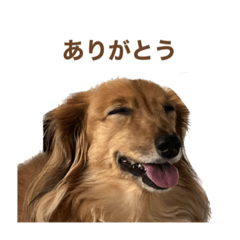 konatsu_20221025194453
