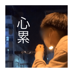 波波累了