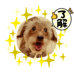 Mizuki_20221026104405