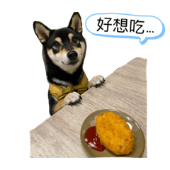 黑柴屁咚ㄟ日常 part 2