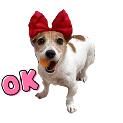 noabuzz_20221026130524