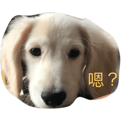 Lemon雷夢