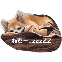 mizuki_20221027082443