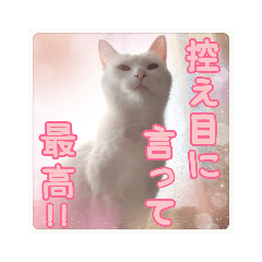 hana_20221027072549