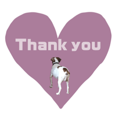 arisa_20221026165028