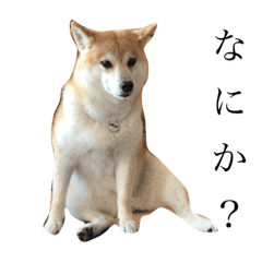 natsumi_20221026221833