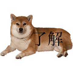hana_20221026201613