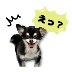 HIKARI_20221027061401