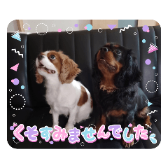 hana_20221026184907