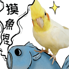 Cute & lovely bird with you-Part IV