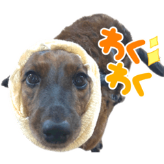 HANA_20221027123927