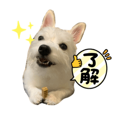 UKIの日々
