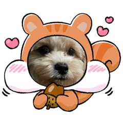 michiko_20221027131153