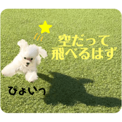 RINA_20221027154422