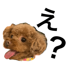 My dog87