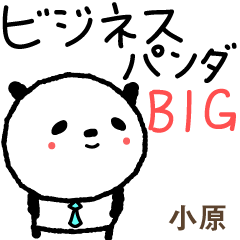 小原さん 毎日ビジネスパンダBIGスタンプ