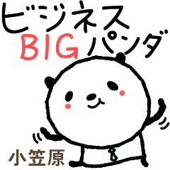 Panda Business Big Stickers of Ogasawara