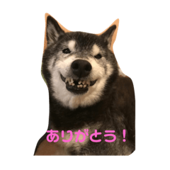 Hana_20221027204011