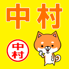 ★中村(なかむら)な柴犬のシバッキー