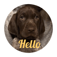 mizuki_20221027205328