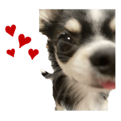 Saori_20221027222311