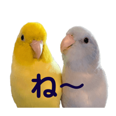 aoi_20221027232115