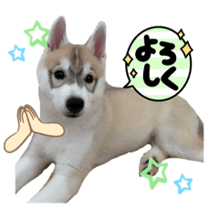 aoi_20221027235202
