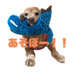 kkachan