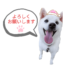 rinrin_20221028114949