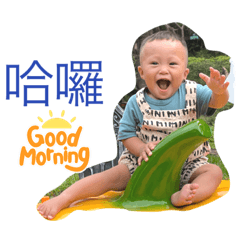 泰雅公子布朗尼