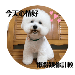 咘咘王