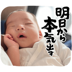 Hikari_20221028163728