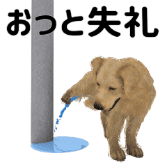 Golden Retriever moving sticker