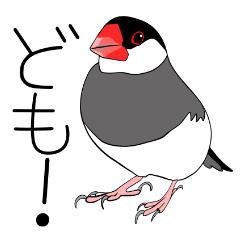Java sparrow's everyday sticker