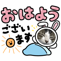 peco_20221029011448