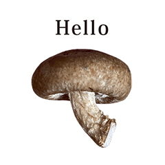small mushroom 5 English