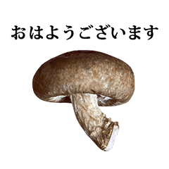small mushroom 4