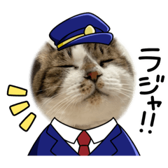 raika_20221029001331