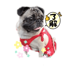 yukimatsu_20221028205104