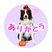 nononon_20221029105938