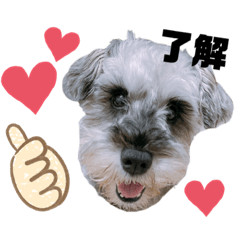 Nozomi_20221029111223