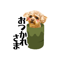 TOMMY_20221028213346