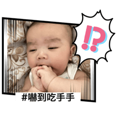 森哥大集合