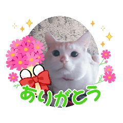 ミミくん２