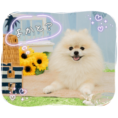 rie_20221029014517