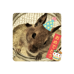 pipi_stamp_degu