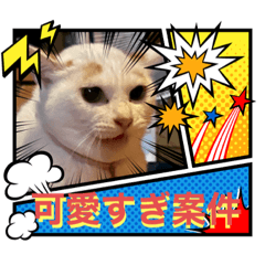 Yuka_20221029170230