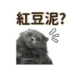 厭世嚕仔＿日常實用篇